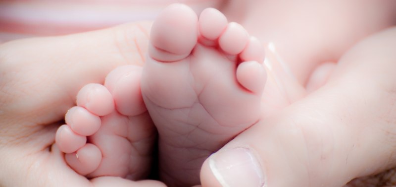 Surrogacy Facts