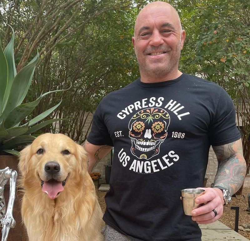 Joe Rogan Net Worth 2022 Wiki Age Wife Kids And More Facts