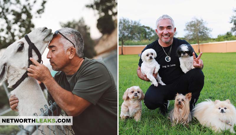 Cesar Millan's horse and dogs