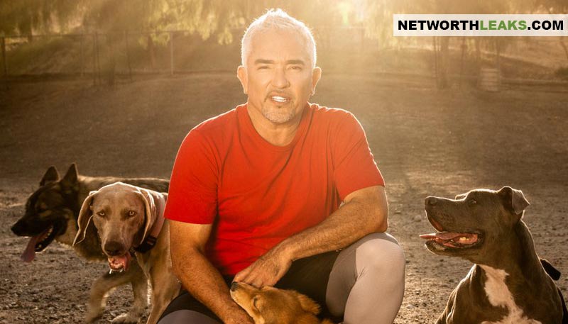 how much money does cesar millan make