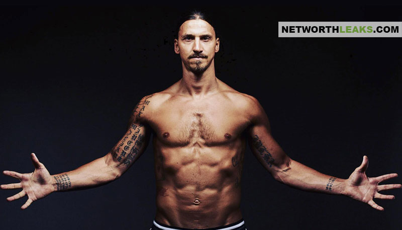 Zlatan Ibrahimovic Net Worth