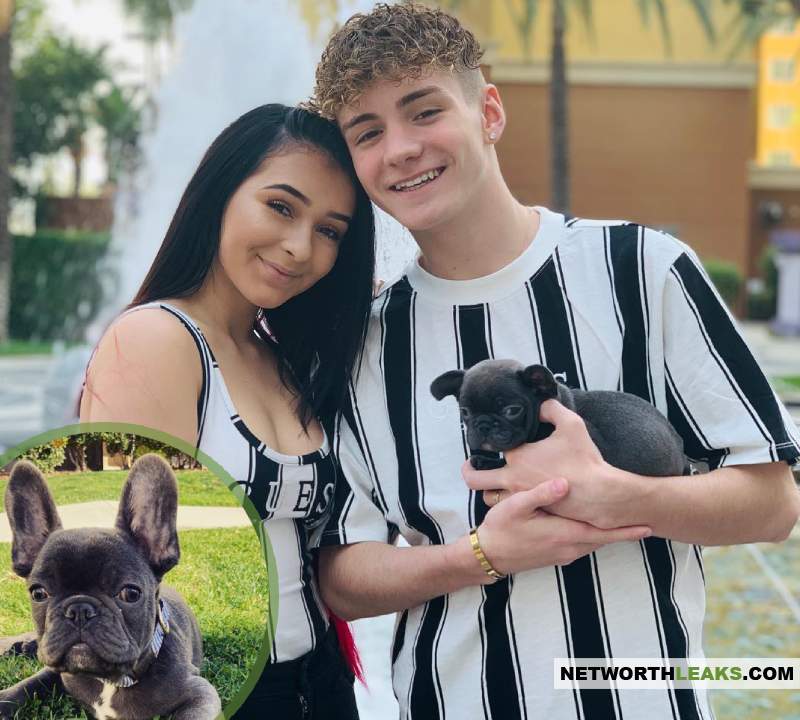 Mikey Tua with Dani Cohn and their dog, french bulldog Blue Tua