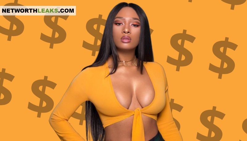 Megan Thee Stallion Net Worth