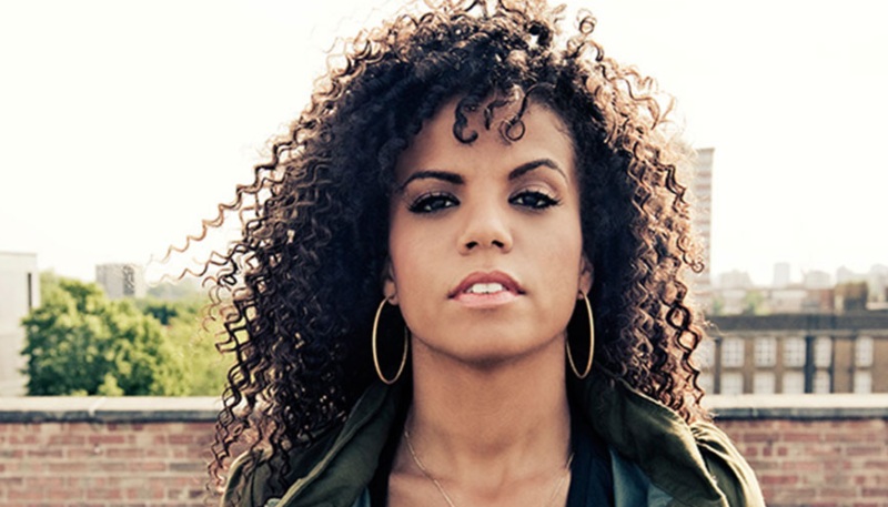 ms.-dynamite Net Worth