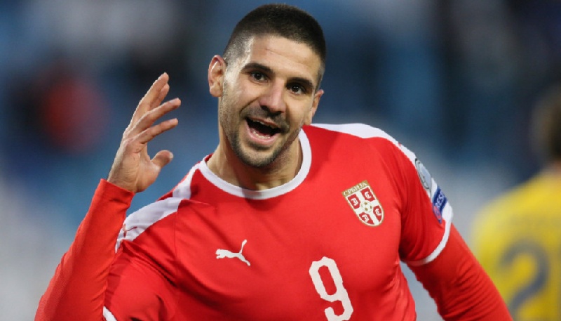 Aleksandar MitroviÄ‡  Net Worth